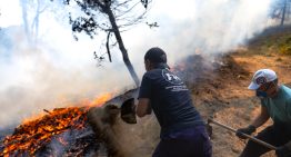 Última hora de los incendios forestales, en directo | El incendio en Madrid se mantiene sin reproducciones durante la noche