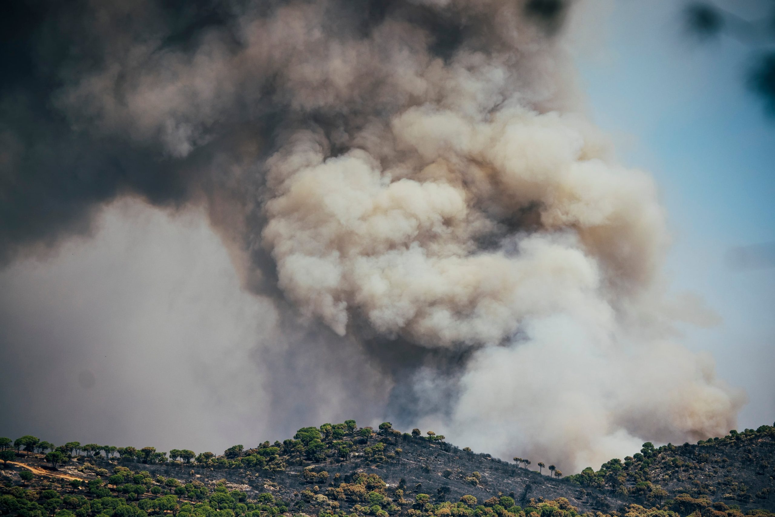 Una columna de humo sobre el monte de Navas del Rey.