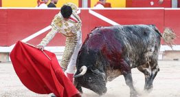 Galván y Diosleguarde pasean trofeos de una manejable corrida de Cebada Gago en Pamplona