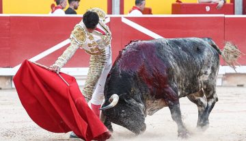 Galván y Diosleguarde pasean trofeos de una manejable corrida de Cebada Gago en Pamplona