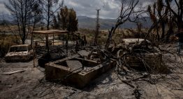 Últimas noticias del incendio forestal de Los Gallardos (Almería), en directo | Asciende a 13 la cifra de fallecidos en el incendio de Almería