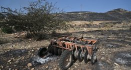 Últimas noticias del incendio forestal de Los Gallardos (Almería), en directo | El consejero de Emergencias: “Quienes cuestionan que no se mandara el Es-Alert no tienen ni idea de lo que hablan”