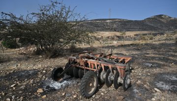 Últimas noticias del incendio forestal de Los Gallardos (Almería), en directo | El consejero de Emergencias: “Quienes cuestionan que no se mandara el Es-Alert no tienen ni idea de lo que hablan”