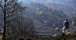 Última hora de los incendios forestales, en directo | Los incendios dan una tregua horas antes de la ola de calor: los vecinos de 13 municipios de Madrid y Ávila vuelven a sus casas