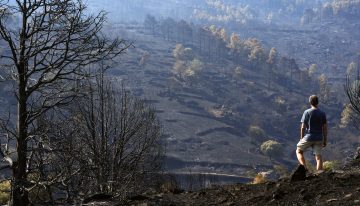 Última hora de los incendios forestales, en directo | Los incendios dan una tregua horas antes de la ola de calor: los vecinos de 13 municipios de Madrid y Ávila vuelven a sus casas