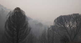 Claves de los incendios | Hectáreas quemadas, desalojos y carreteras cortadas