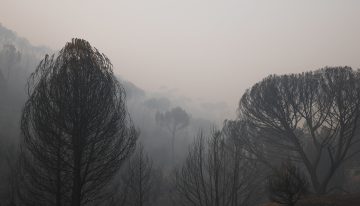 Claves de los incendios | Hectáreas quemadas, desalojos y carreteras cortadas