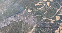 Estabilizado el incendio de Camarasa después de afectar a unas 21,8 hectáreas