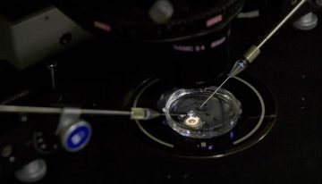 Escándalo científico: China oculta la muerte de una niña que recibió una terapia génica experimental de 860.000 dólares