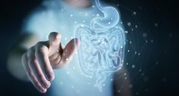 El estrés crónico podría alterar la microbiota intestinal, acelerar el envejecimiento del sistema inmunitario y debilitar las defensas