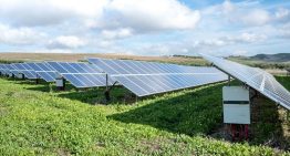 Las plantas solares en España tienen un problema: bandas organizadas de ladrones que les están robando el cobre