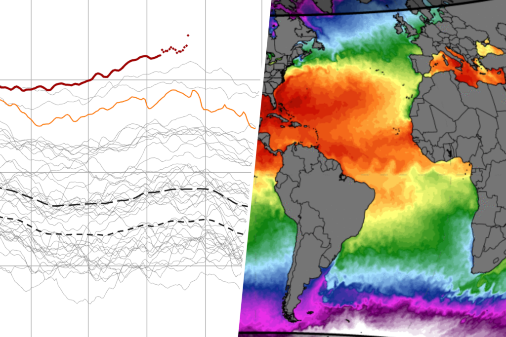 Los expertos empiezan a ponerse nerviosos: "Es probable que hayamos registrado la temperatura más alta del mar desde hace 125.000 años" 