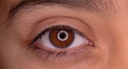La evolución de nuestros ojos esconde un giro de guion: la ciencia apunta a un «gusano cíclope» de hace 600 millones de años