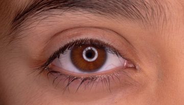 La evolución de nuestros ojos esconde un giro de guion: la ciencia apunta a un «gusano cíclope» de hace 600 millones de años