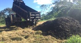 En 2018, cubrieron un páramo de Costa de Rica con 30 camiones cargados de café. Dos años después, el paisaje era irreconocible