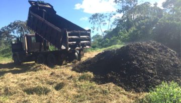 En 2018, cubrieron un páramo de Costa de Rica con 30 camiones cargados de café. Dos años después, el paisaje era irreconocible