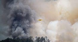 Cuando el fuego crea sus propias tormentas: el aterrador auge de los pirocumulonimbos y su impacto «volcánico»