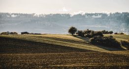 Un agricultor enterró sus calzoncillos en el campo para medir la fertilidad del suelo. Y la ciencia le da la razón