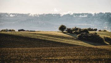 Un agricultor enterró sus calzoncillos en el campo para medir la fertilidad del suelo. Y la ciencia le da la razón