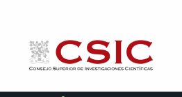 Bolsa del trabajo de CSIC: qué es, requisitos y cómo presentar tu solicitud para acceder a ella