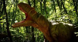 La ciencia reconstruye el primer paisaje sonoro del Jurásico y encuentra la prueba más antigua de comunicación por ultrasonidos.