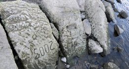 «Si me ves, llora». La sequía europea está haciendo reaparecer piedras grabadas hace siglos para advertir de futuras hambrunas