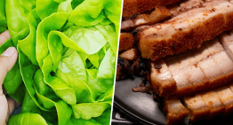 Hemos conseguido convertir una lechuga en una fábrica molecular. Acto seguido, la hemos puesto a fabricar carne de cerdo