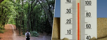 No tomes decisiones importantes en ola de calor: las altas temperaturas (y las noches tórridas) sabotean tu cerebro