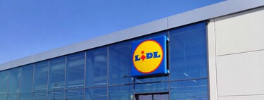El viernes 14 de agosto llega a Lidl (y rebajado) este perchero con ruedas muy barato e ideal para pisos pequeños