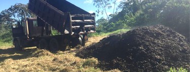 En 2018, dos investigadores volcaron toneladas de pulpa de café sobre un pastizal de Costa Rica: hoy es un vergel