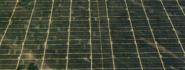 Una de las zonas más áridas de China está reverdeciendo. El motivo: un planta con siete millones de paneles solares