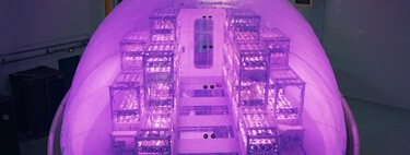 Si queremos colonizar Marte debemos aprender a cultivar en Marte. Y ya trabajamos en cápsulas para lograrlo