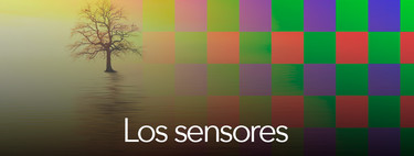 Todo sobre fotografía móvil (5): los sensores fotográficos