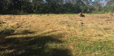 Pasture Rebeccacole