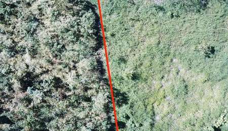 Droneimage Rakanzahawi