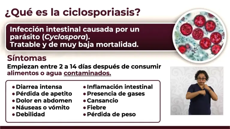 Ciclosporiasis en México: Salud confirma 33 casos y descarta brote; estas son las medidas para prevenirla