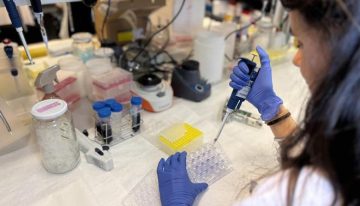Así funciona a nivel molecular la nueva terapia contra el melanoma