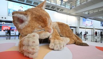 Hong Kong tiene algo que muchos aeropuertos querrían para sí. No es una nueva terminal: es un gato gigante interactivo
