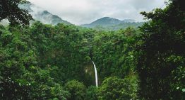 En 1987, Costa Rica había perdido la mitad de su bosque. Hoy es el ejemplo mundial en revertir la deforestación
