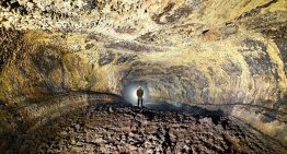Bajo Tenerife hay un mundo que lleva 27.000 años aislado: dentro de esta cueva viven 190 especies