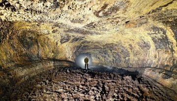 Bajo Tenerife hay un mundo que lleva 27.000 años aislado: dentro de esta cueva viven 190 especies