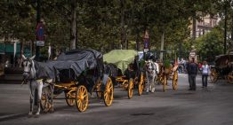 Una inspección de trabajo analizó los papeles de 98 cocheros de Sevilla. Solo uno tenía los papeles en regla