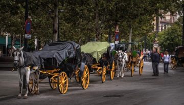 Una inspección de trabajo analizó los papeles de 98 cocheros de Sevilla. Solo uno tenía los papeles en regla