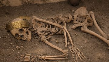 Durante décadas pensamos que los hombres cazaban y las mujeres cuidaban. La genética cuenta una historia mucho más compleja