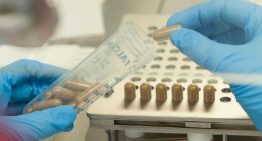 La Organización Nacional de Trasplantes alerta del riesgo de consumir cápsulas de heces para mejorar la microbiota: «Ni es seguro, ni eficaz»