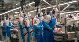 Catalunya tendrá 185 auxiliares de inspección veterinaria más para reforzar la seguridad alimentaria