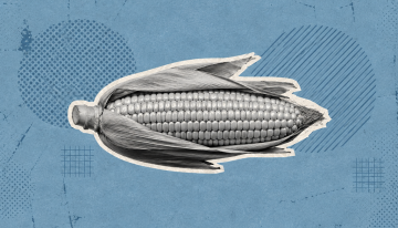 Mazorcas, cáscaras de coco y el «tesorium» romano: todas las alternativas al papel higiénico antes de que existiera