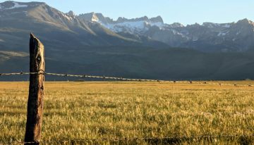 El alambre de espino fue convirtió una infraestructura crucial para el despegue del telégrafo en Estados Unidos