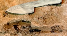 La profesión más antigua del mundo tiene 40.000 años y está en un yacimiento de Barcelona