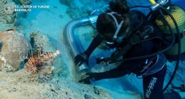 Mientras se construía la Gran Pirámide hace 4.700 años, un barco se hundía en el Mediterráneo: es el naufragio más antiguo jamás conocido